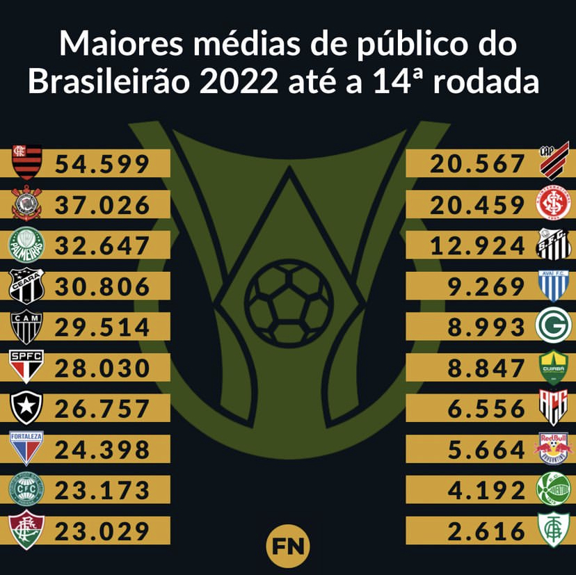 Fluminense ocupa posição mediana em relação a média de público