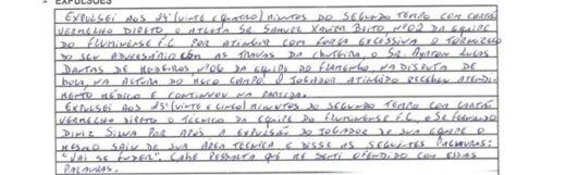 Árbitro diz em súmula que foi ofendido por Fernando Diniz