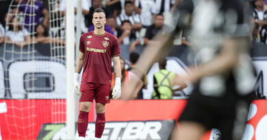 Interminável: Fábio é o único do Fluminense a disputar todos os jogos do Brasileirão deste ano Interminável: Fábio é o único do Fluminense a disputar todos os jogos do Brasileirão deste ano