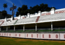 Fluminense fará jogos do Sub-15 e Sub-17 nas Laranjeiras