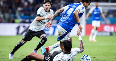 Botafogo empata com o Cruzeiro e Fluminense depende apenas de si pela vaga direta na Libertadores