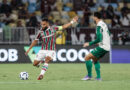 Retrospecto: Flu possui desvantagem contra o Palmeiras, mas histórico na década é equilibrado