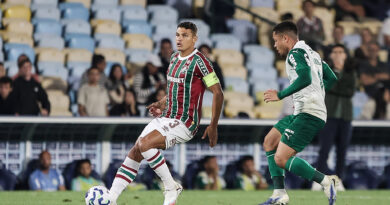 Fluminense tem retrospecto positivo em casa contra o Palmeiras; confira Fluminense tem retrospecto positivo em casa contra o Palmeiras; confira