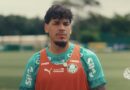 Gustavo Gómez prega respeito contra o Fluminense na Libertadores e elogia time de Marcão: “Vamos enfrentar um grande adversário”