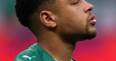 Vitor Roque é desfalque de última hora do Palmeiras e não enfrenta o Fluminense nesta quarta-feira Vitor Roque é desfalque de última hora do Palmeiras e não enfrenta o Fluminense nesta quarta-feira